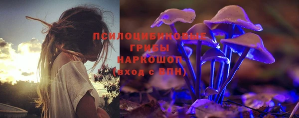 PSILOCYBIN Абдулино