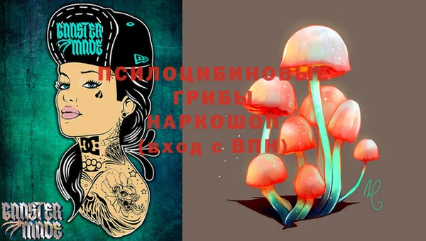 PSILOCYBIN Абдулино