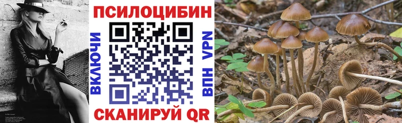 Галлюциногенные грибы ЛСД  магазин продажи наркотиков  Фурманов 